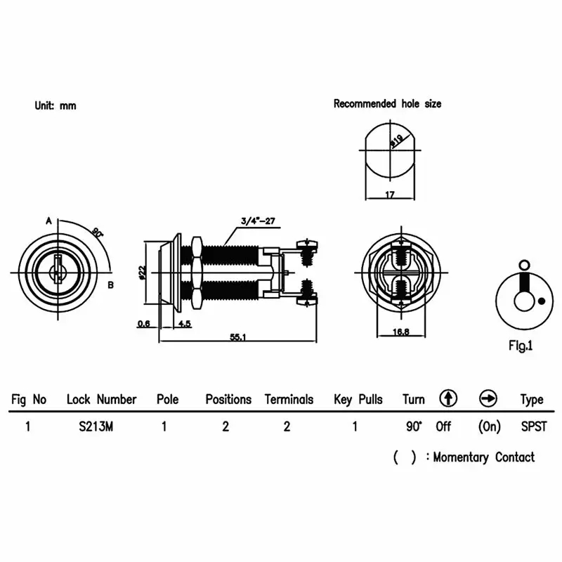 S213t.jpg